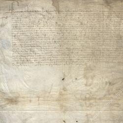Lettre patentes confirmant les privilèges accordés (octobre 1528)