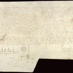 Lettres patentes accordant exemption de tailles et droit de franc salé pour dix ans